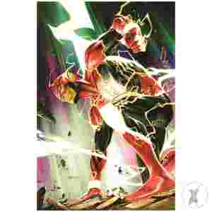 Flash #18 Cvr C Stephen Segovia Card Stock Var
