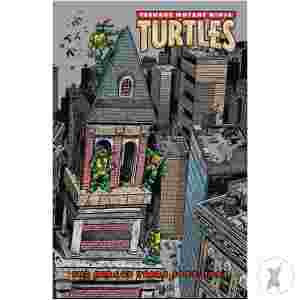 Tmnt Mirage Years (1993-1995) Hc (C: 1-1-1)