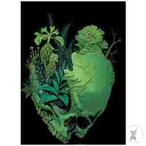 In Bloom #3 (Of 5) Cvr C 10 Copy Incentive Stenbeck