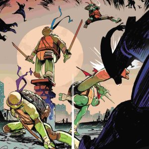 Teenage Mutant Ninja Turtles 2024 #7 25 Copy Rivas Incv