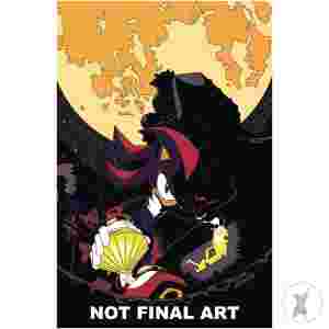 Sonic The Hedgehog Chasing Shadows #1 10 Copy Fonseca