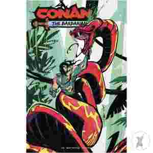 Conan Barbarian #19 Cvr D Donovan (Mr)