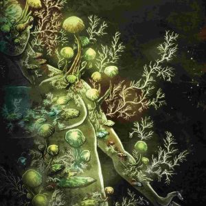 In Bloom #4 (Of 5) Cvr C 10 Copy Incv Templesmith