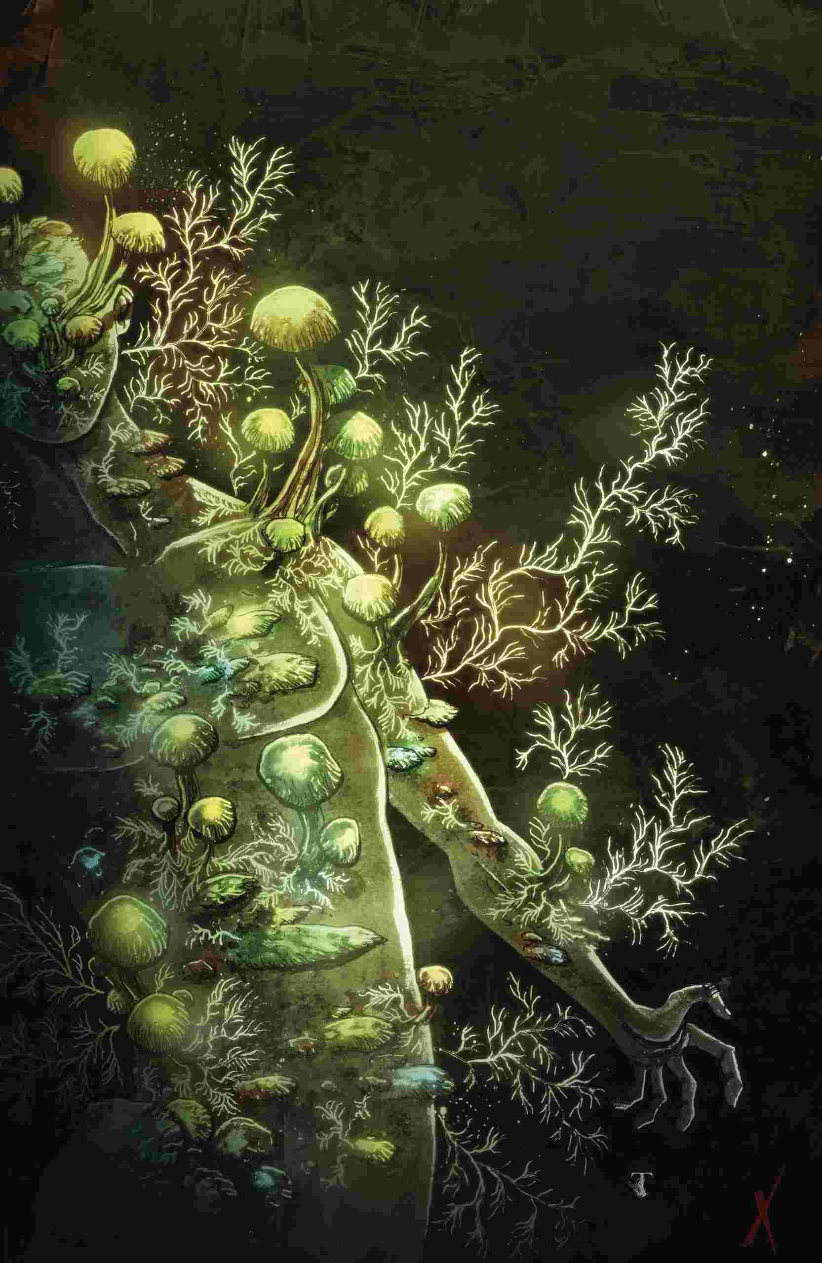 In Bloom #4 (Of 5) Cvr C 10 Copy Incv Templesmith