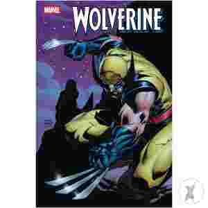 Wolverine #8 Andy Kubert Var