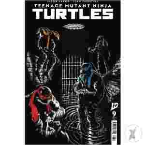 Teenage Mutant Ninja Turtles 2024 #9 Cvr C Ferreyra