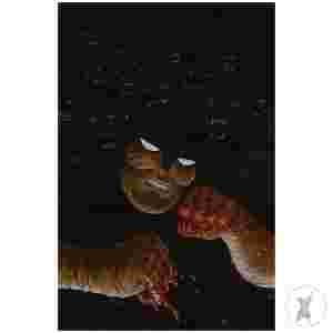 Dc Vs Vampires World War V #10 (Of 12) Cvr C Tyler Crook Card Stock Var