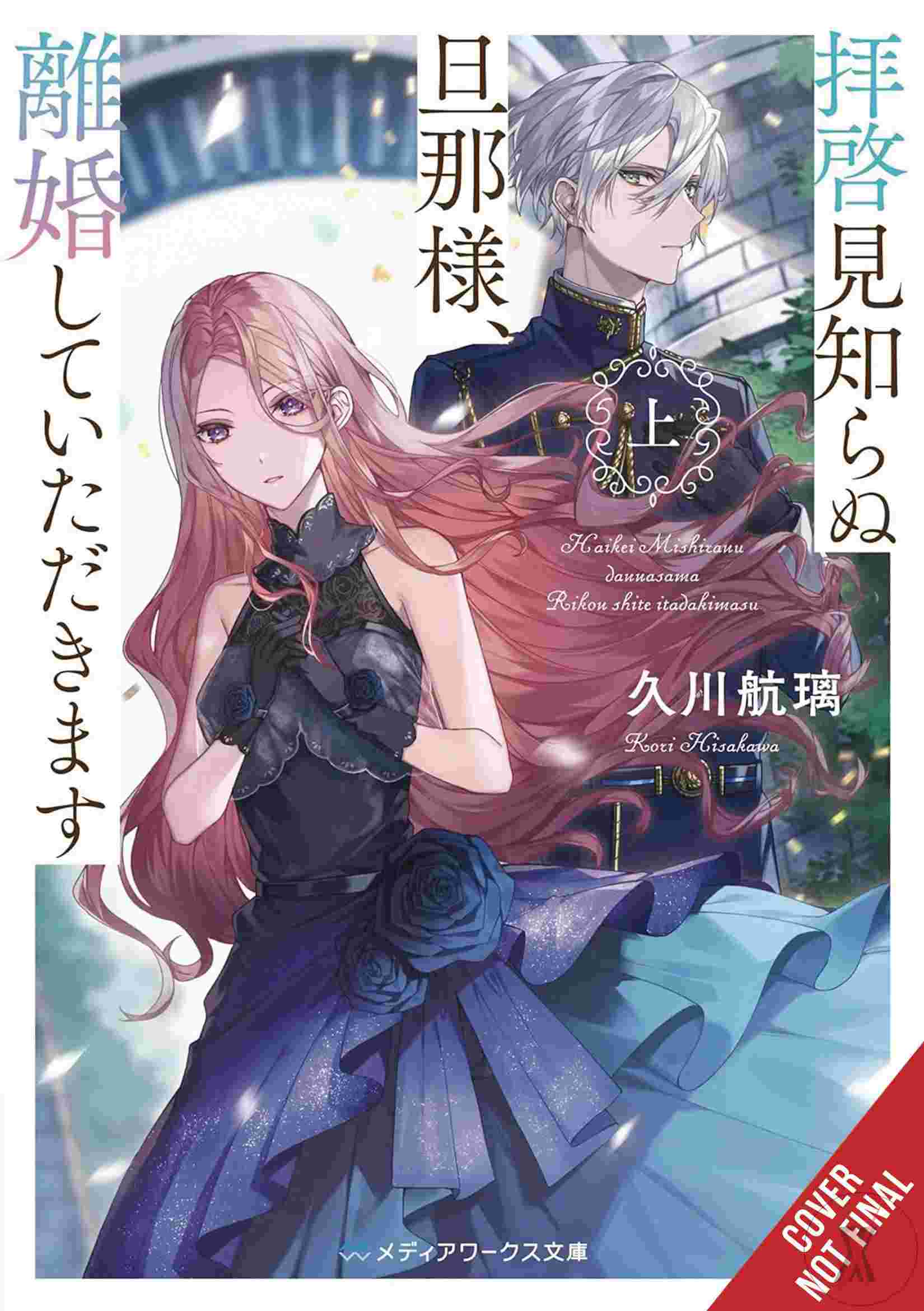 To Sir Without Love Im Divorcing You Light Novel Sc (C: 0-1-