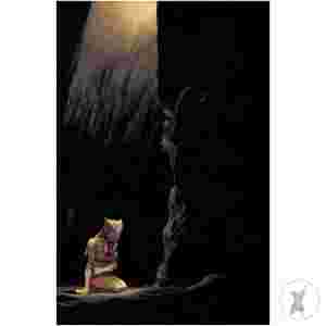 Thundercats Lost #5 Cvr F Shalvey Metal Premium (C: 1-1-2)