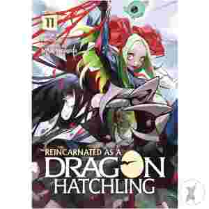 Reincarnated As Dragon Hatchling Sc Novel Vol 11 (C: 0-1-1)