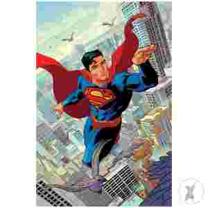Superman Unlimited #4 Cvr C Hayden Sherman Card Stock Var