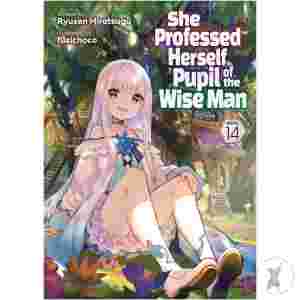 She Professed Herself Pupil Of Wise Man Light Novel Vol 14 (