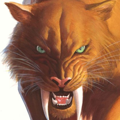 Black Cat #2 Alex Ross Timeless Virgin Variant