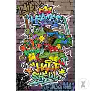 Tales Of The Teenage Mutant Ninja Turtles #1 Variant Ri (50) (Lankryâ Mural Full Art) Incv 1:50