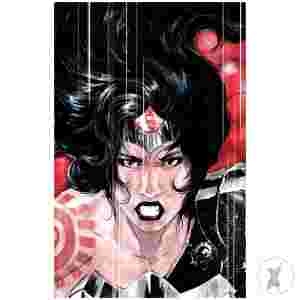 Absolute Wonder Woman #14 Cvr D Dustin Nguyen Card Stock Var