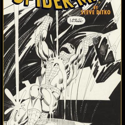 Amazing Spider Man By Steve Ditko Artists Edition Hc Rain Cvr
