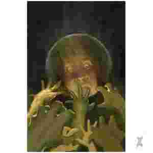 Crownsville #2 Cvr C Inc 1:10 Jason Shawn Alexander Full Art Var