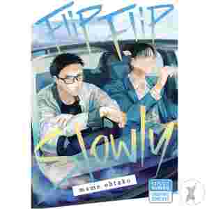 Flip Flip Slowly