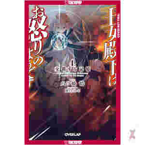 Her Royal Highness Seems To Be Angry, Volume 4 (Light Novel)