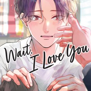 Wait, I Love You Vol. 1