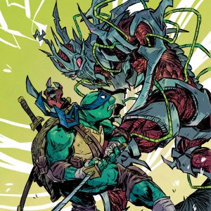 Mighty Morphin Power Rangers/Teenage Mutant Ninja Turtles Iii #5 D 1:5 Incv (Full Art, Ono)