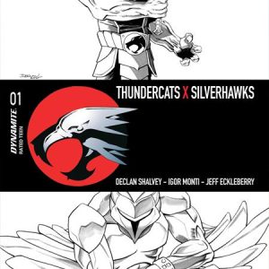 THUNDERCATS X SILVERHAWKS #1 CVR N INC 1:35 DECLAN SHALVEY LINE ART VAR
