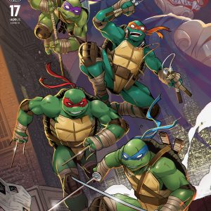 Teenage Mutant Ninja Turtles #17 Variant RI (50) (Mercer) INCV 1:50