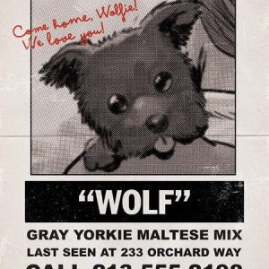 SUPER MONDO MEGA MUTTS #1 (OF 4) CVR G INC 1:10 JUAN GEDEON LOST DOG VAR