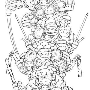 Teenage Mutant Ninja Turtles #20: 300th Issue Special Variant RI (300) (Miller Full Art B&W) INCV 1:300
