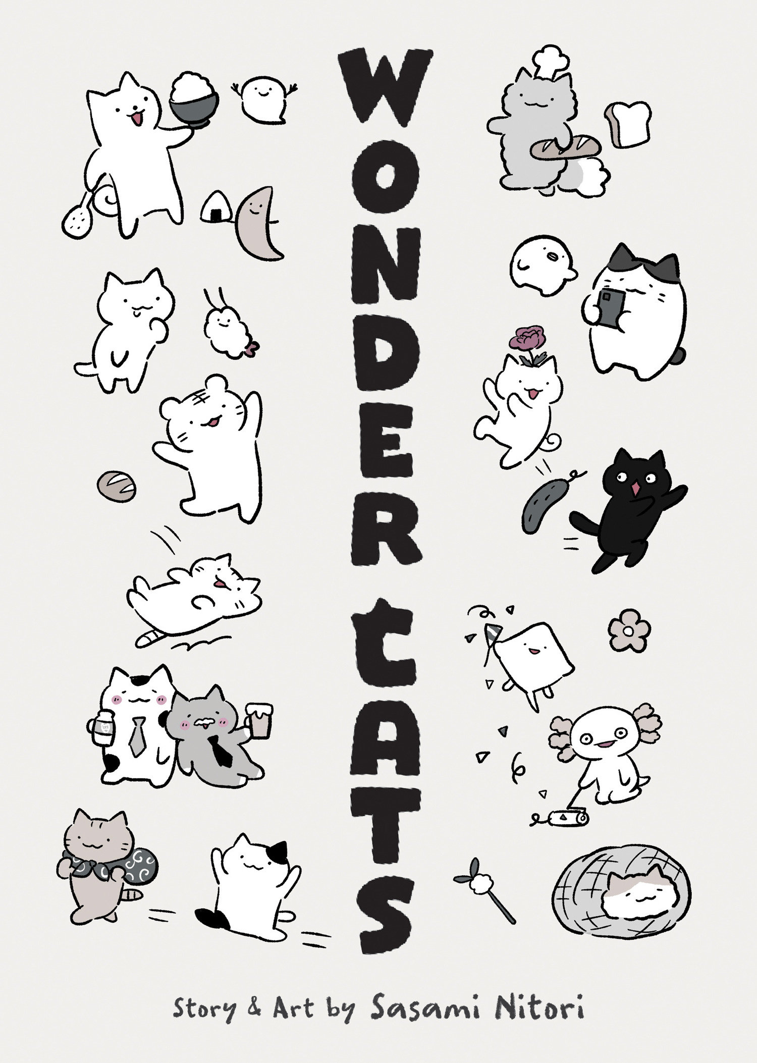 WONDER CATS