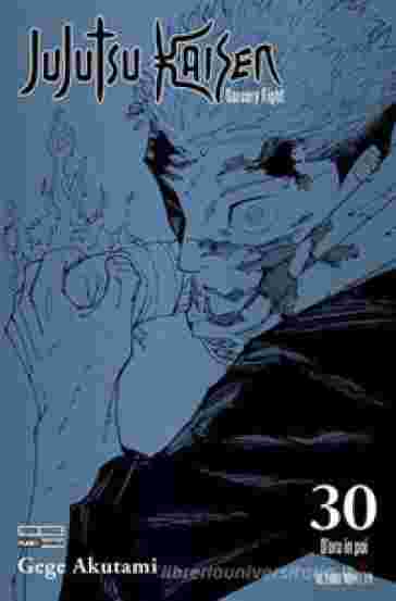 JUJUTSU KAISEN 30 ISTANT VARIANT